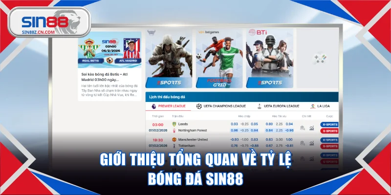 Giới thiệu tổng quan về tỷ lệ bóng đá SIN88